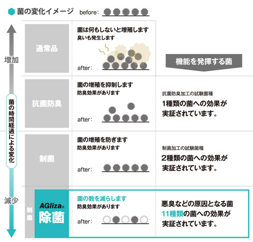 菌の変化イメージ