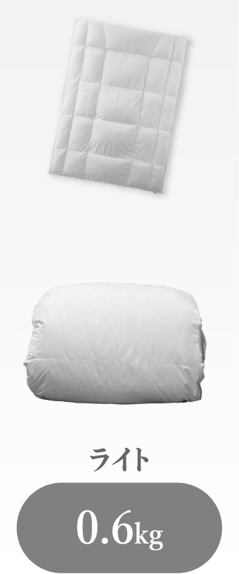 ライト 0.6kg