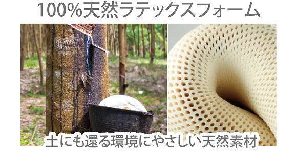 100%天然ラテックスフォーム 土にも還る環境にやさしい天然素材