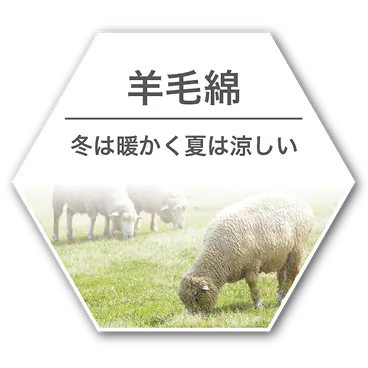 羊毛綿 冬は暖かく夏は涼しい