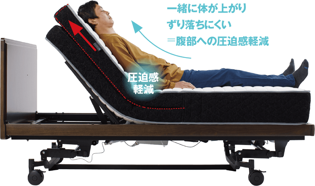 フランスベッド FRANCEBED 電動マットレス 楽天市場】【ポイント10倍☆11日1:59まで！】 フランスベッド