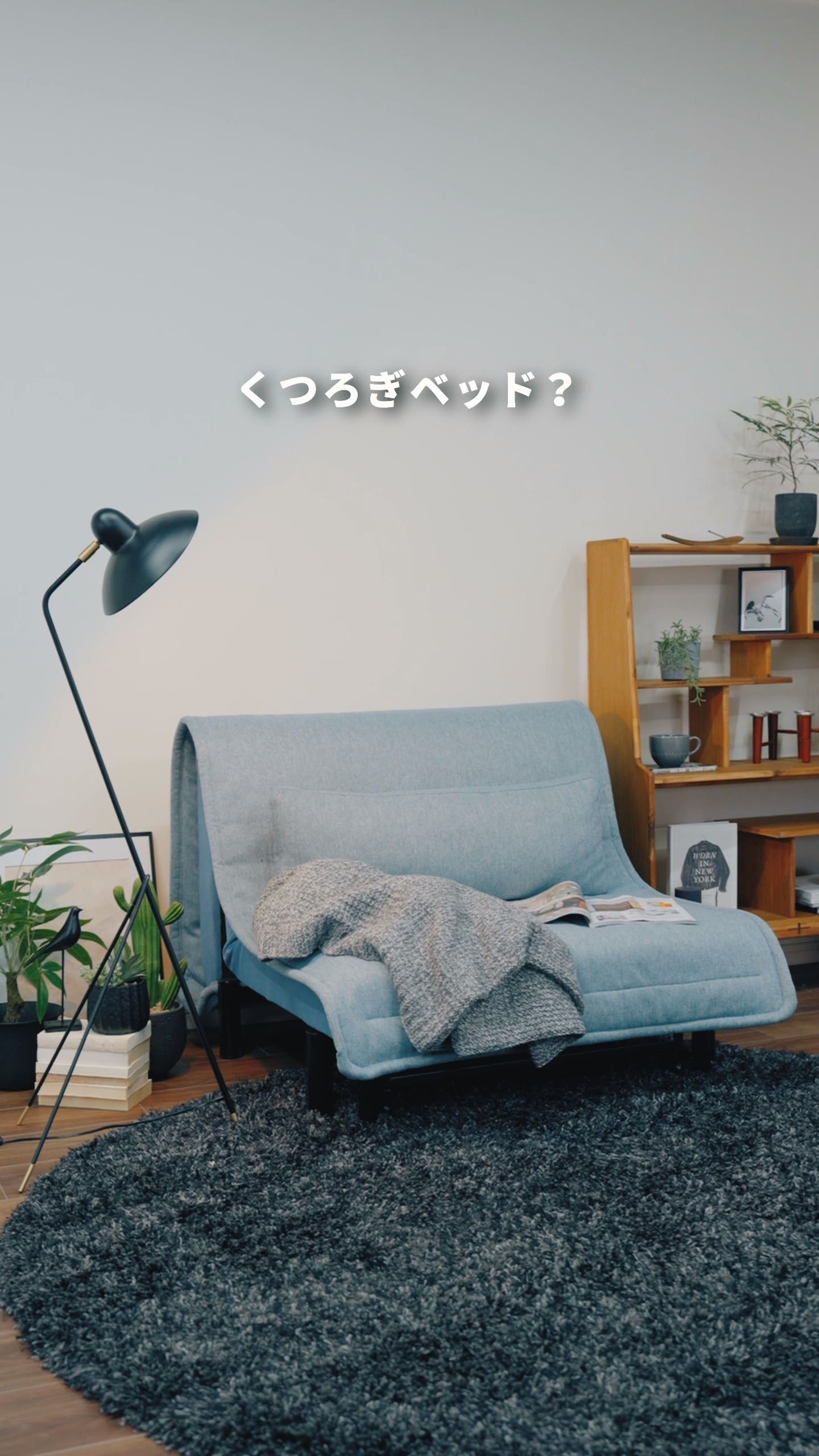 フランスベッドのソファベッド - MOVEin'terior（ムービンテリア