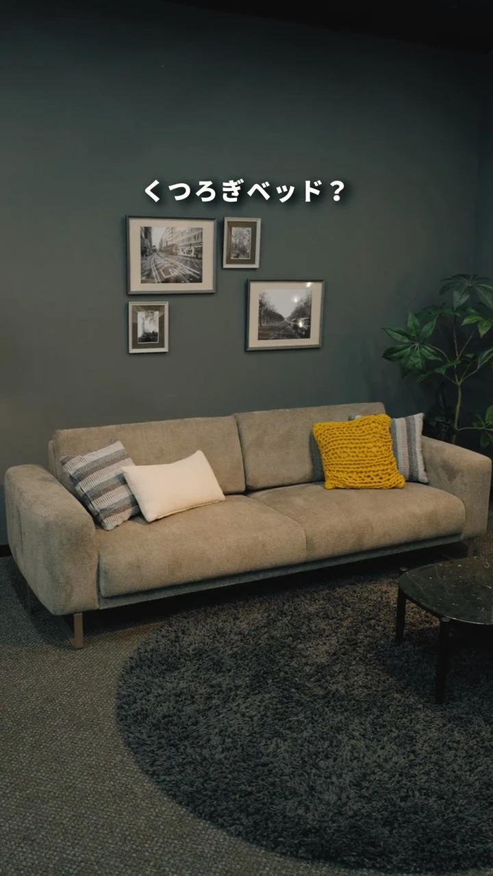 フランスベッドのソファベッド - MOVEin'terior(ムービンテリア フランスベッドのソファベッド - MOVEin'terior(ムービンテリア