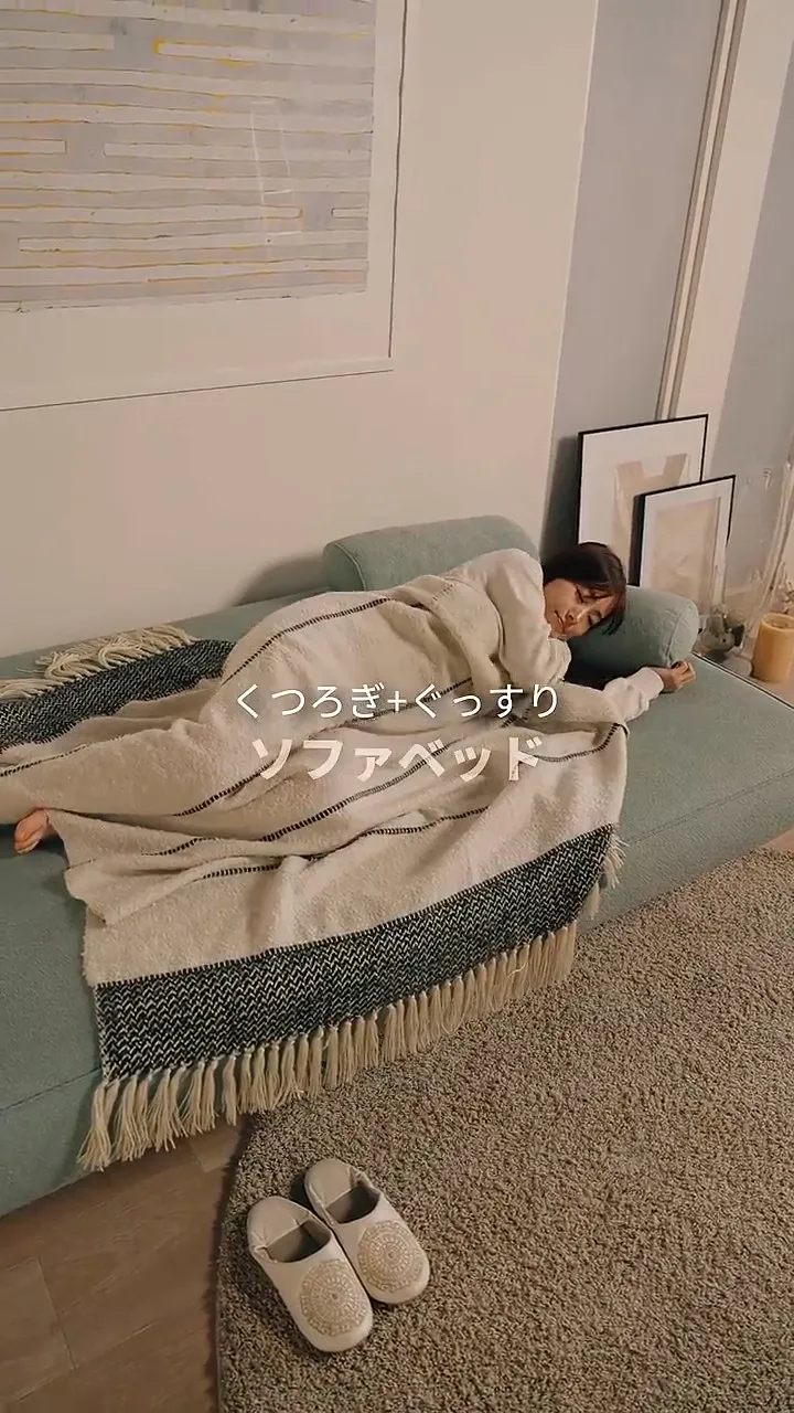 フランスベッドのソファベッド - MOVEin'terior（ムービンテリア