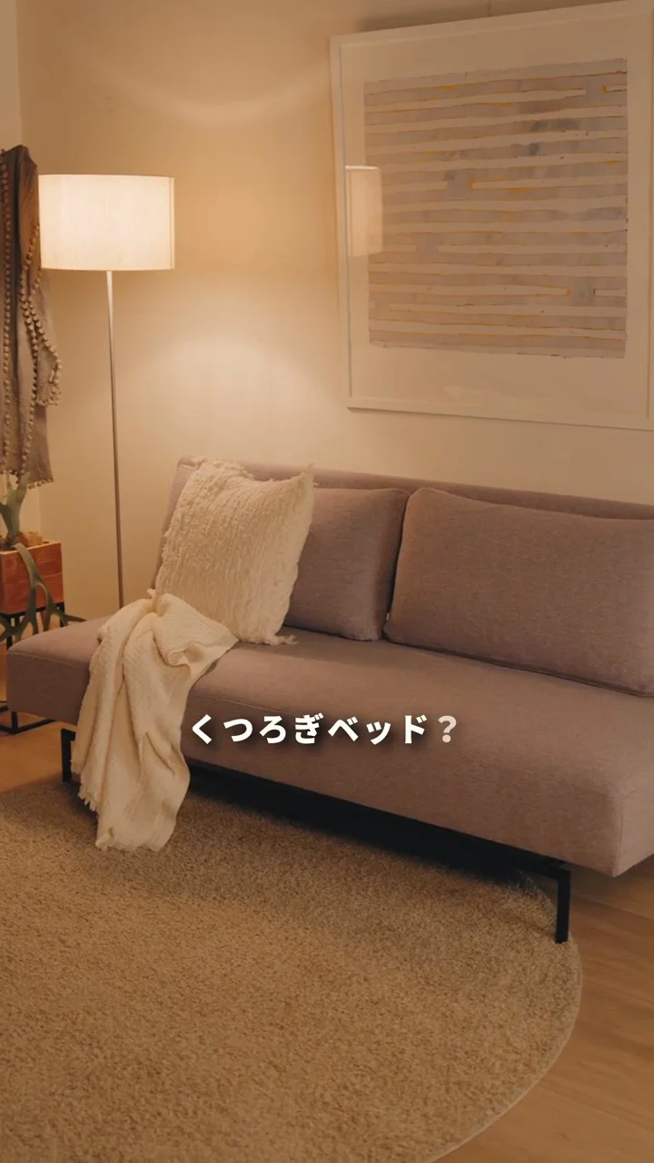 フランスベッドのソファベッド - MOVEin'terior（ムービンテリア