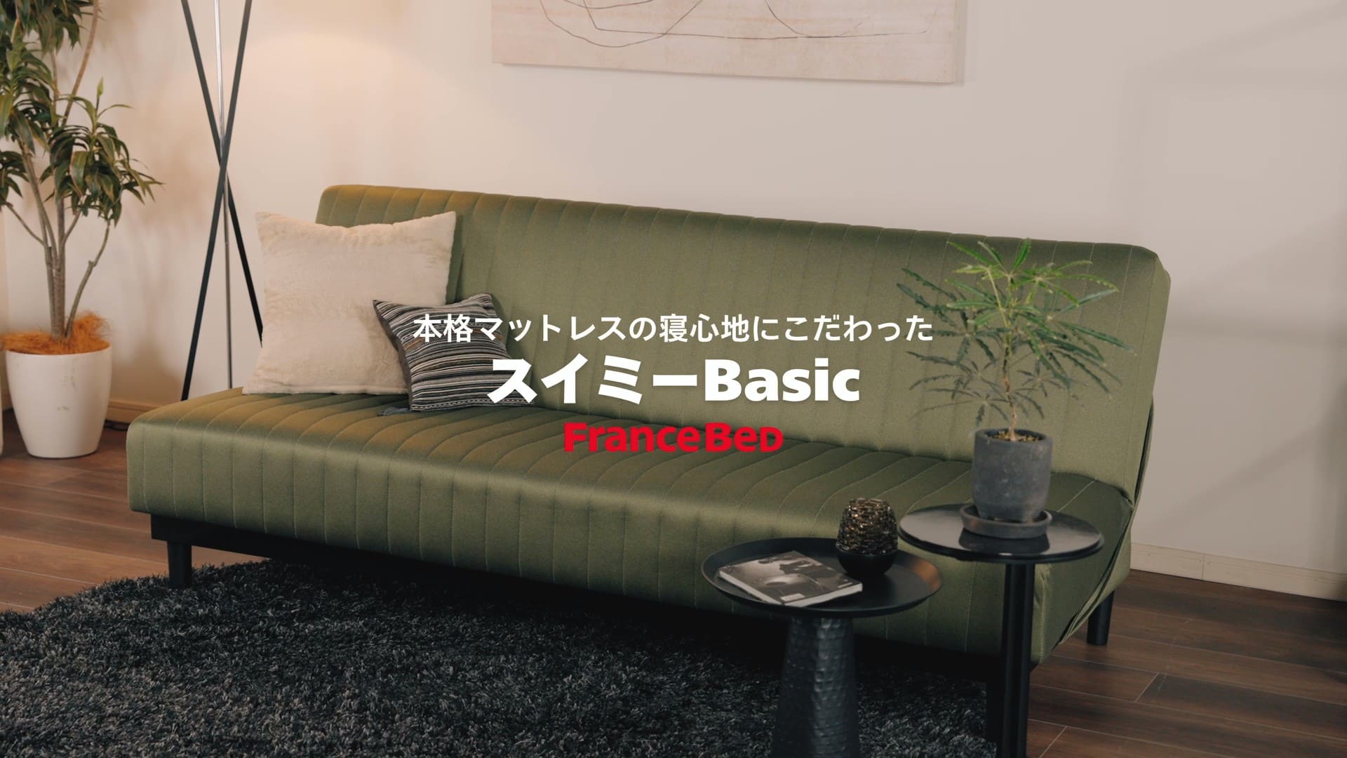 【ani】ソファベッド フランスベッド ムービンテリア フランスベッドのソファベッド - MOVEin'terior（ムービンテリア