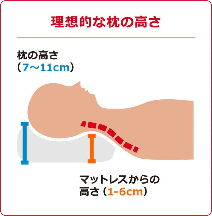 理想的な枕の高さ