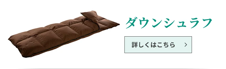 ダウンシュラフ 詳しくはこちら